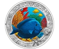 Austria  3€ 2024 - Nº7 - <b>Blue Doctor Fish</b>. Marine Life