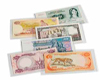 COVERS FOR BANKNOTES BASIC 204